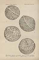  no thumbnail available