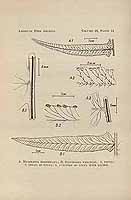  no thumbnail available