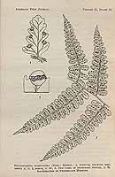  no thumbnail available