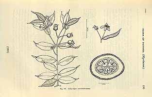  no thumbnail available