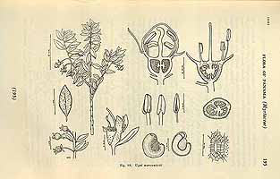  no thumbnail available