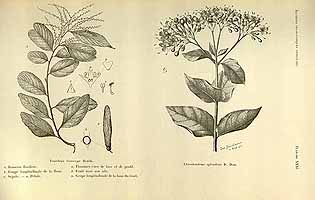  no thumbnail available