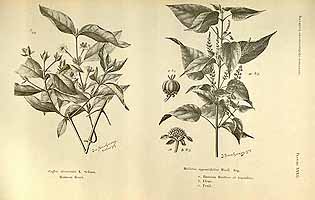  no thumbnail available