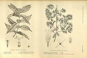  no thumbnail available