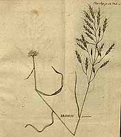  no thumbnail available