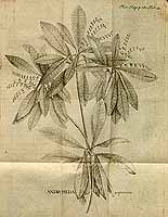  no thumbnail available