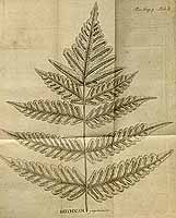  no thumbnail available