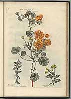  no thumbnail available