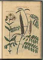  no thumbnail available