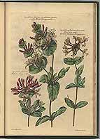  no thumbnail available