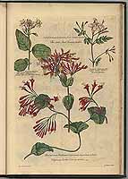  no thumbnail available