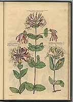  no thumbnail available