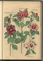  no thumbnail available