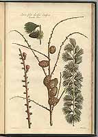  no thumbnail available