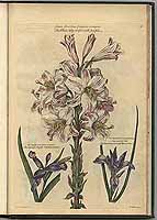  no thumbnail available