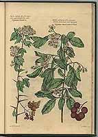  no thumbnail available