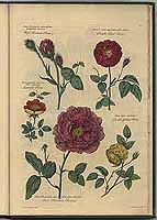  no thumbnail available