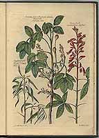  no thumbnail available