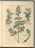  no thumbnail available