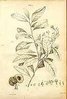  no thumbnail available