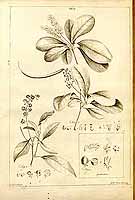  no thumbnail available