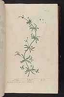  no thumbnail available