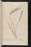  no thumbnail available