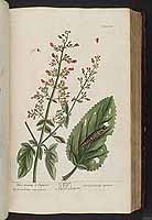  no thumbnail available