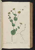  no thumbnail available