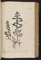  no thumbnail available