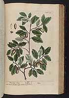  no thumbnail available