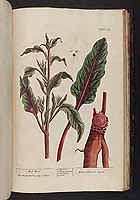  no thumbnail available