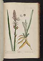  no thumbnail available