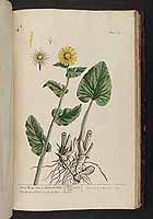  no thumbnail available