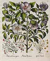  no thumbnail available