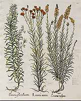  no thumbnail available