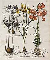  no thumbnail available