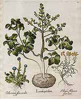  no thumbnail available