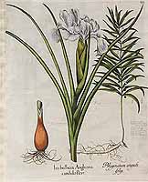  no thumbnail available