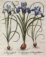  no thumbnail available