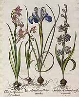  no thumbnail available