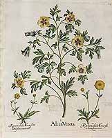  no thumbnail available