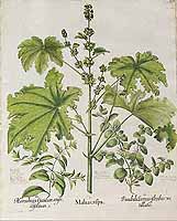  no thumbnail available