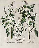  no thumbnail available