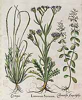  no thumbnail available