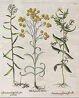  no thumbnail available