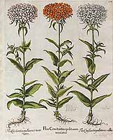  no thumbnail available