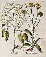  no thumbnail available