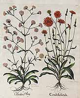  no thumbnail available