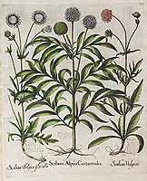  no thumbnail available